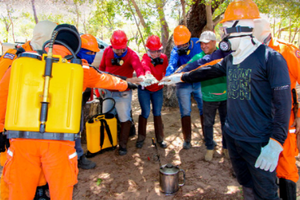  Governo do Maranhão e Prefeitura de Matões realizam curso de formação de brigadistas municipais